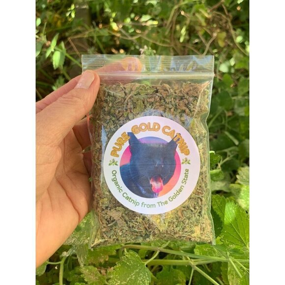 PURE GOLD Catnip Organically Grown & Harvested Pure Californian Catnip 4"x 3" - Picture 10 of 16